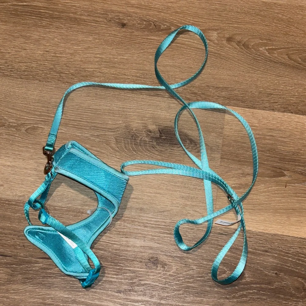 Turquoise Pet Harness and Leash Set